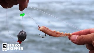 THIS RIG CATCHES SO MANY FISH! Using Fishing Bait as a Lure