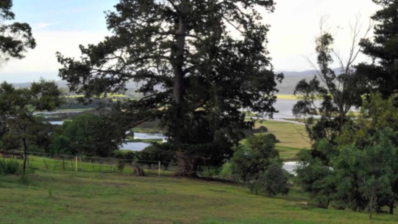 Real Estate Launceston 599 West Tamar Highway, Riverside YouTube