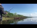 Рыбалка в Коми, ловля на фидер и удочку после половодья на реке Вычегда