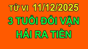 TỬ VI NGÀY 11/12/2025 – NGÀY GIÁP DẦN – LUẬN GIẢI CHI TIẾT VẬN TRÌNH 12 CON GIÁP