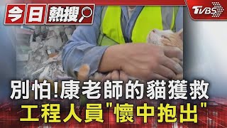 別怕! 康老師的貓獲救 工程人員「懷中抱出」｜TVBS新聞【 萌寵明星粗乃玩 】@haveapetday by 萌寵明星粗乃玩 Have A Pet Day 531 views 1 month ago 1 minute, 51 seconds