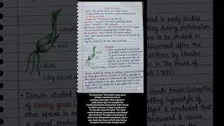 short note on Auxin Phytohormone  #csirnet #neet #lifescience #notes_making