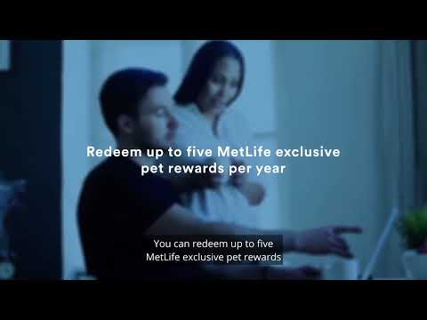MetLife Pet Insurance Launches MyPets Rewards Program With LifeBalance
