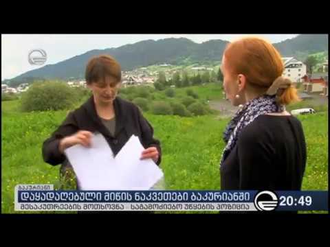 დაყადაღებული მიწის ნაკვეთები ბაკურიანში