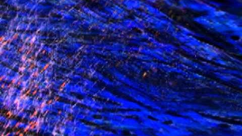 Opening: "Close Encounters" - Sallie McIlheran, October 2010 #3