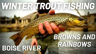 Winter Trout Fishing on the BOISE river | The river is FULL of fish!