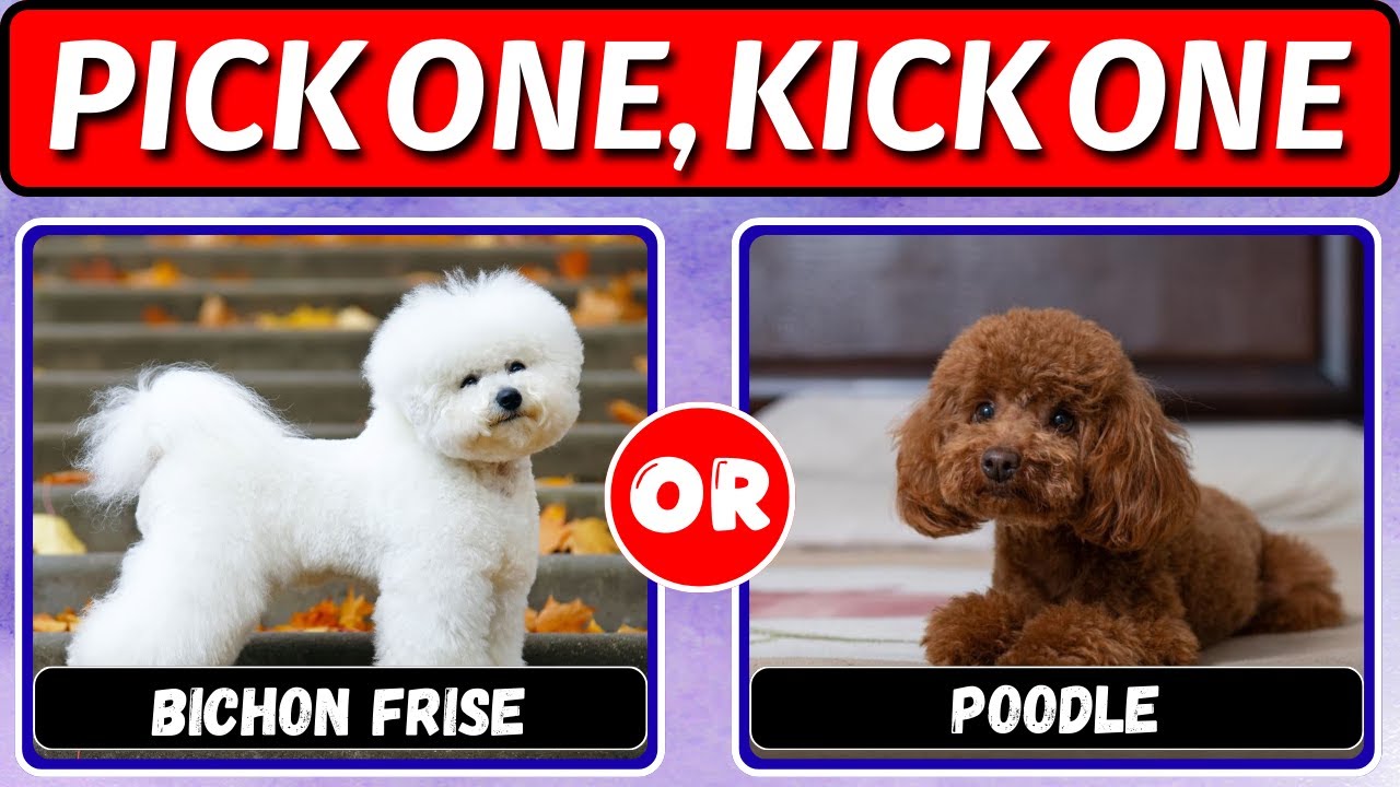 Pick one, Kick one: DOGS Edition 🐶 Which Dog is Cuter? | QuizCore