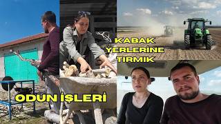 BU TAVUKLAR KOMEDİ GİBİ! ODUN KESİP TAŞIYORUZ! KABAK YERLERİNE TIRMIK ÇEKTİK!