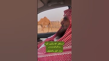 دحيم الحماد ١٤٤٧ه ماتيسر من سورة الحجر