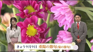 The Double Ninth Festival is a 
