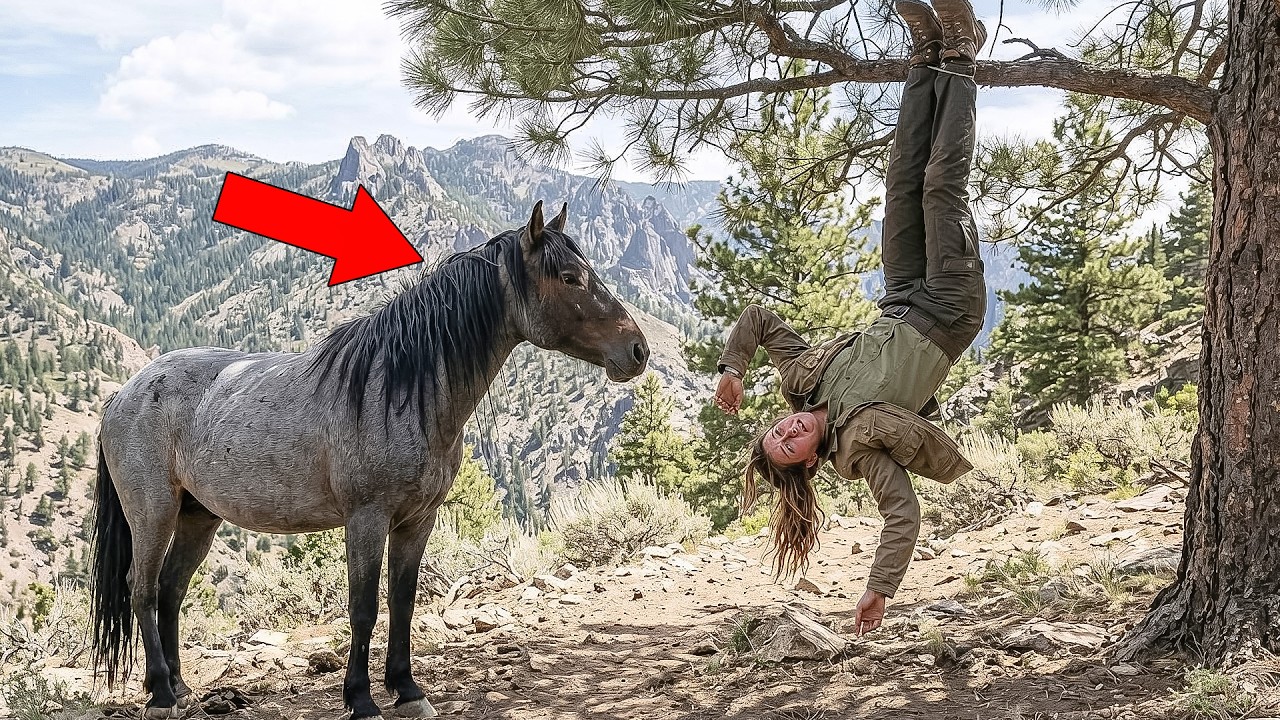 Mustang Horses Found a Female Ranger Hanging Upside Down From a Tree—What Happened Next Was Shocking