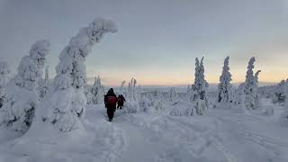 SILENT HIKE OF RIISINTUNTURI (FINNISH LAPLAND) #asmr