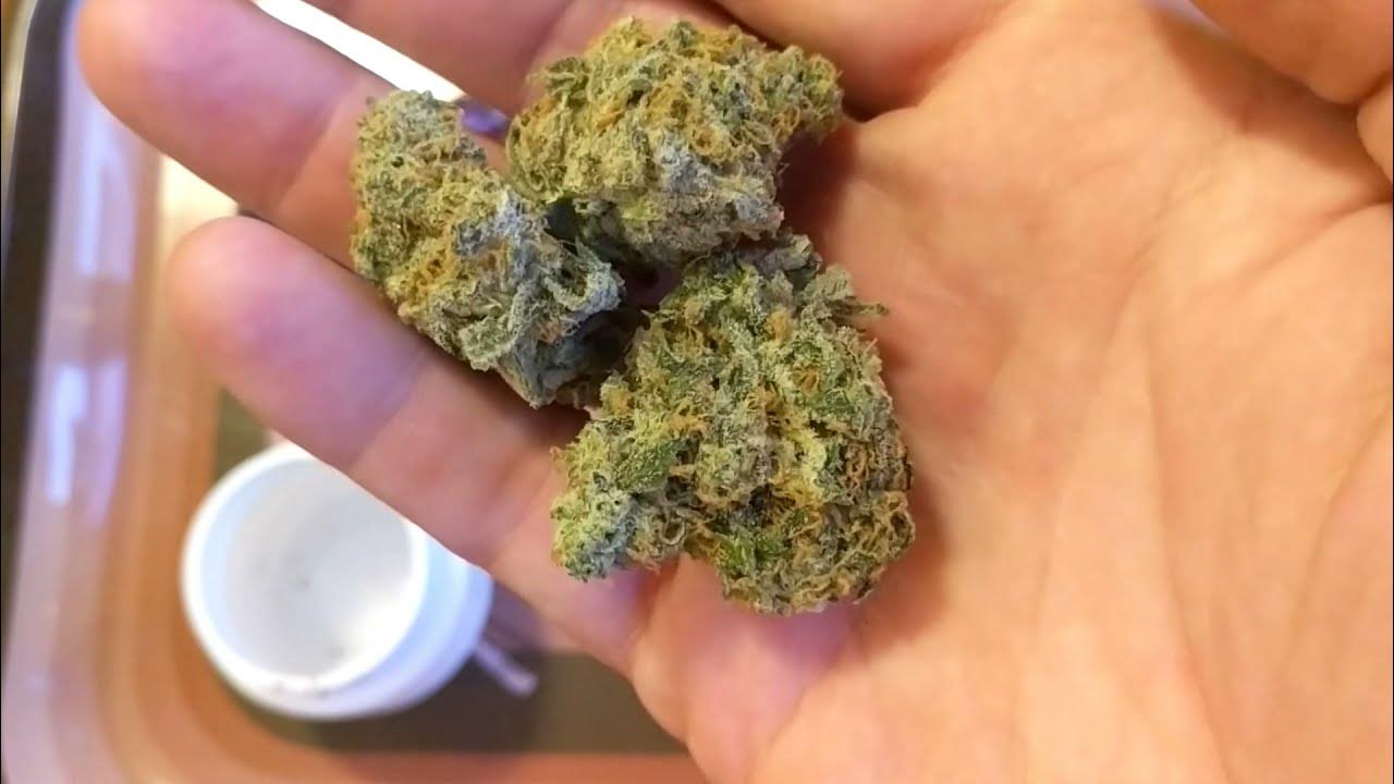 Pineapple Upside Down Cake 31 🍍🎂 Trulieve Eustis (lets smoke a bowl) YouTube