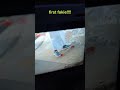 My first fakie #fakie #sk8 #board #ramp #first #noob #newskater #trick #cool #fyp #yt