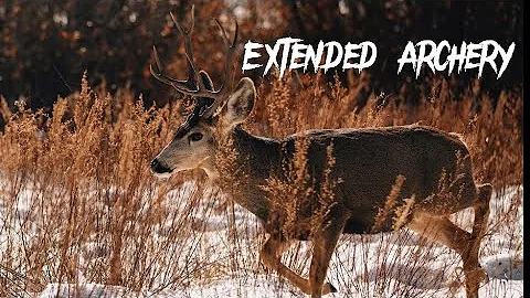 October Morning Hunt | 2022 Utah Archery