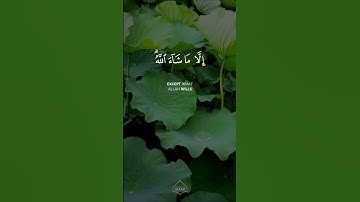 Surah Yunus | Abdurrahman Mossad | سورة يونس | عبد الرحمن مسعد