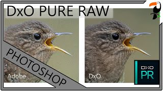 Stop Using Adobe to Process your RAW files - DxO Pure RAW is Amazing!