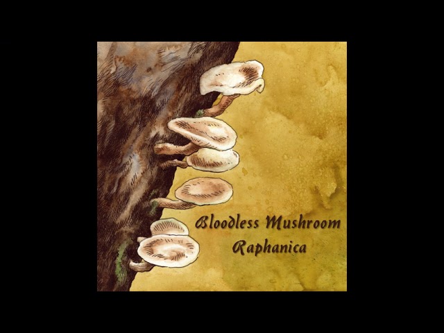 Watch Bloodless Mushroom - Raphanica - 19 - Stumps (Hiems) on YouTube Watch Bloodless Mushroom - Raphanica - 19 - Stumps (Hiems) on YouTube