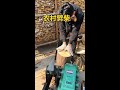 Entering a modern rural area to split firewood
