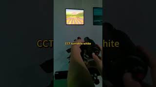 LED framing projector