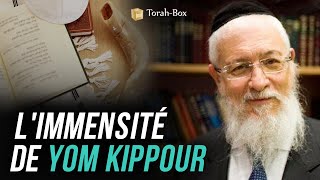 COURS DU LUNDI : L'IMMENSITÉ DE YOM KIPPOUR (GRAND-RABBIN JOSEPH-'HAÏM SITRUK)