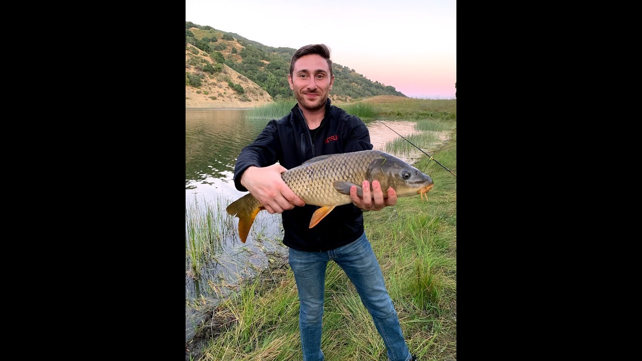 Carp Fishing Coyote Lake Hill YouTube