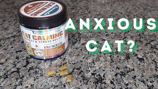 A Simple Fix for Stressed Cats
