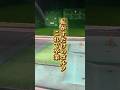 【転がすだけのゴルフこれで卒業】#ゴルフ #100切り #100切り目指す #ゴルフスイング