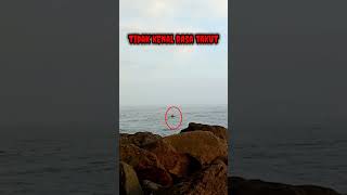 Download Lagu melawan rasa takutnya ‼️seorang wisatawan asing nekat berenang di area berbahaya #shorts MP3 Download Lagu melawan rasa takutnya ‼️seorang wisatawan asing nekat berenang di area berbahaya #shorts MP3