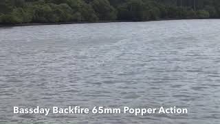 Topwater Fishing with Bassday Backfire 65mm Poppers