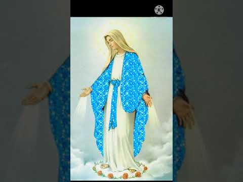 ترنيمة ولسة يا عدرا بتحني وبتشيلي الهموم عنى و ساعة لما بأندهلك بتيجي تقربي مني