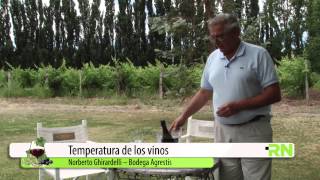 Río Negro, tierra de grande vinos - Micro 4