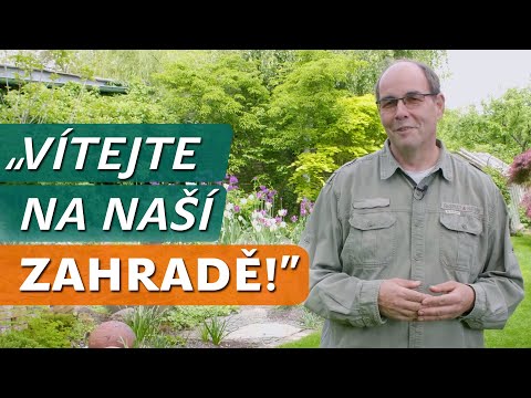 Video: Herb 'N' Living: Pěstování Domácí Zahrady Pro Vašeho Mazlíčka