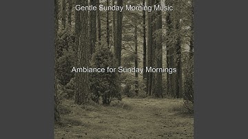 Pulsating Moods for Waking Up Late