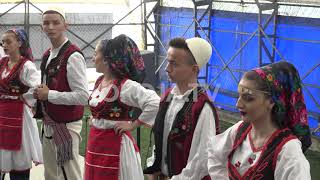 Festivali "Opoja Vallëzon" 2020, SHKA "Anamorava" screenshot 4