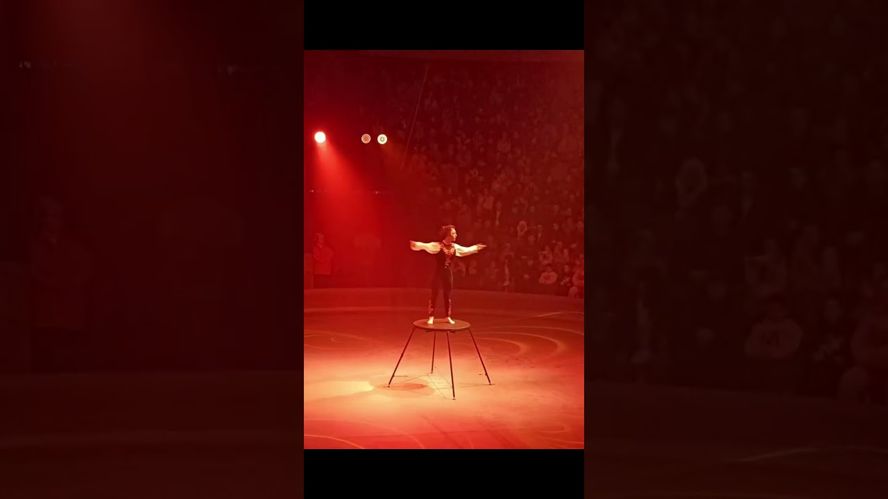 Epic Circus Gymnastics Performance | Non-Aerial Acrobatics Show
