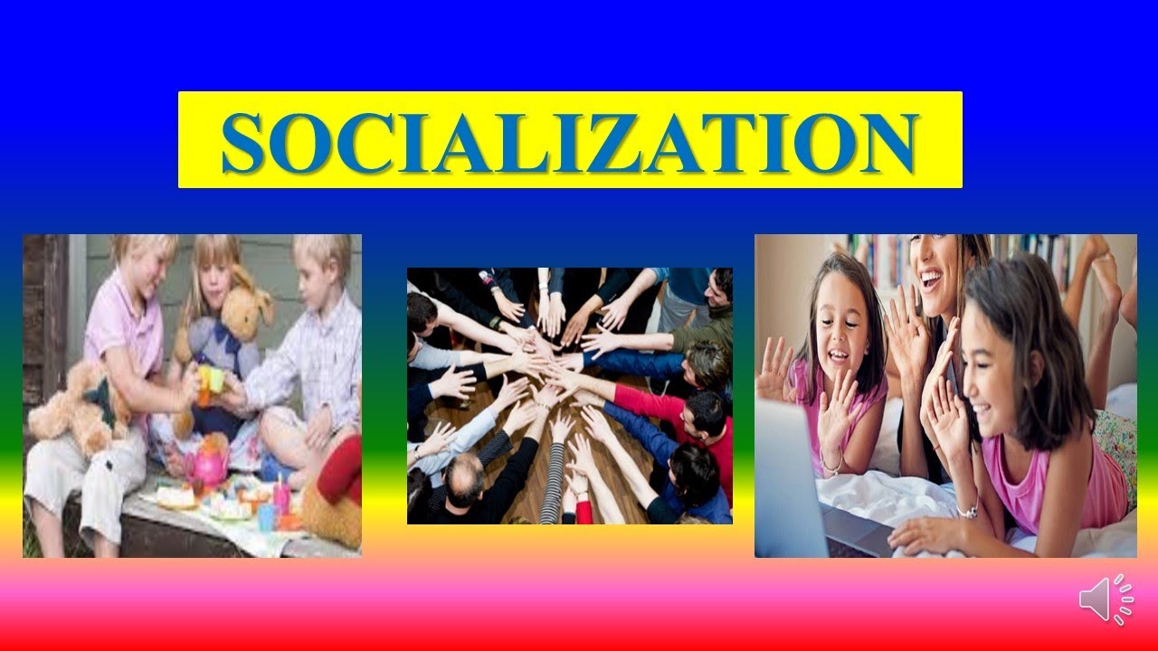 definition of socialization essay