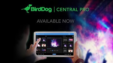 BirdDog Central Pro - NDI® Distribution Made Easy.