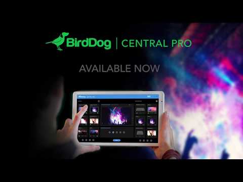 birddog-central-pro---ndi®-distribution-made-easy.