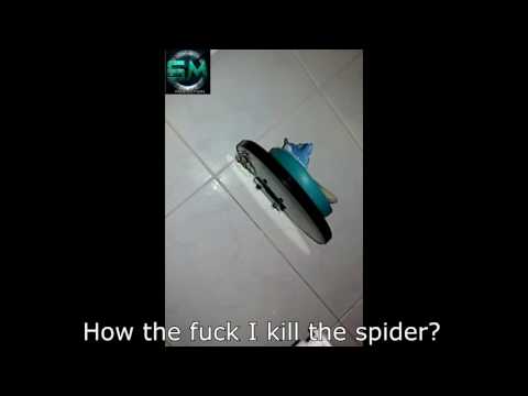 How to Kill Spiders/Come uccidere i ragni | Sbreg&rsquo;s Tutorial