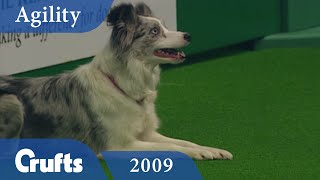 Agility - Championship Final 2009 | Crufts Dog Show