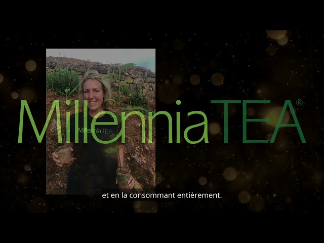 FBA Innovator Sponsor fr