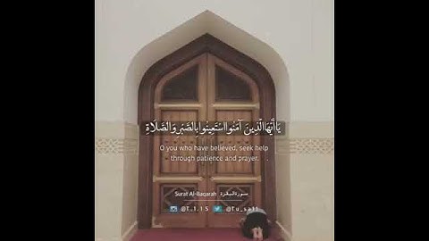 تلاوه تثلج الصدر ماشاء الله