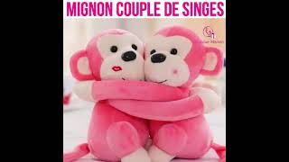 Mignon Couple De Singes
