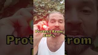 How To Protect From EMF's