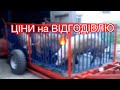 ЦІНИ на СВИНЕЙ-Відгодівлю🔥Поросят продав і ОЛІГАРХ