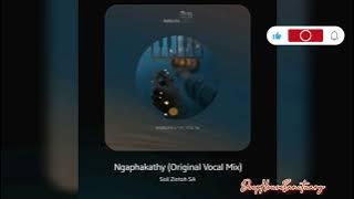 Soil Zintoh SA - Ngaphakathy // original vocal mix