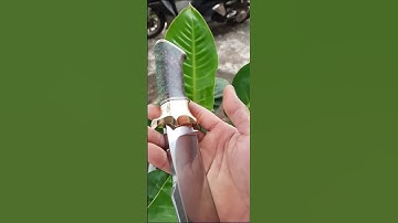 Dao đi rừng . Bowie siêu thép S90v cán ổn định