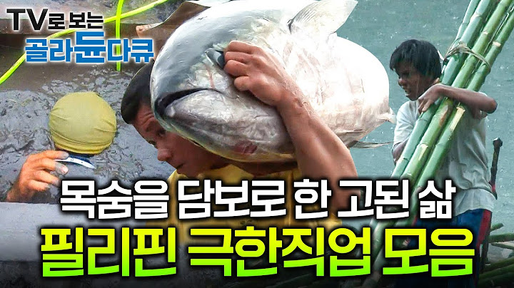 🏅목숨을 담보로 한 고된 삶, 필리핀 극한 직업 레전드 모아보기🇵🇭ㅣ장비라곤 두 다리와 맨손이 전부ㅣ금광 광부ㅣ참치 사냥꾼ㅣ대나무 작업공ㅣ사탕수수 농장ㅣ극한직업ㅣ#골라듄다큐