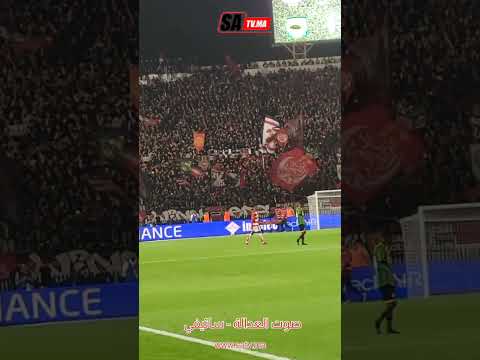 جماهير الوداد الرياضي تبدع في مدرجات المركب محمد الخامس بالبيضاء أمام أشانطي كوطوكو الغاني